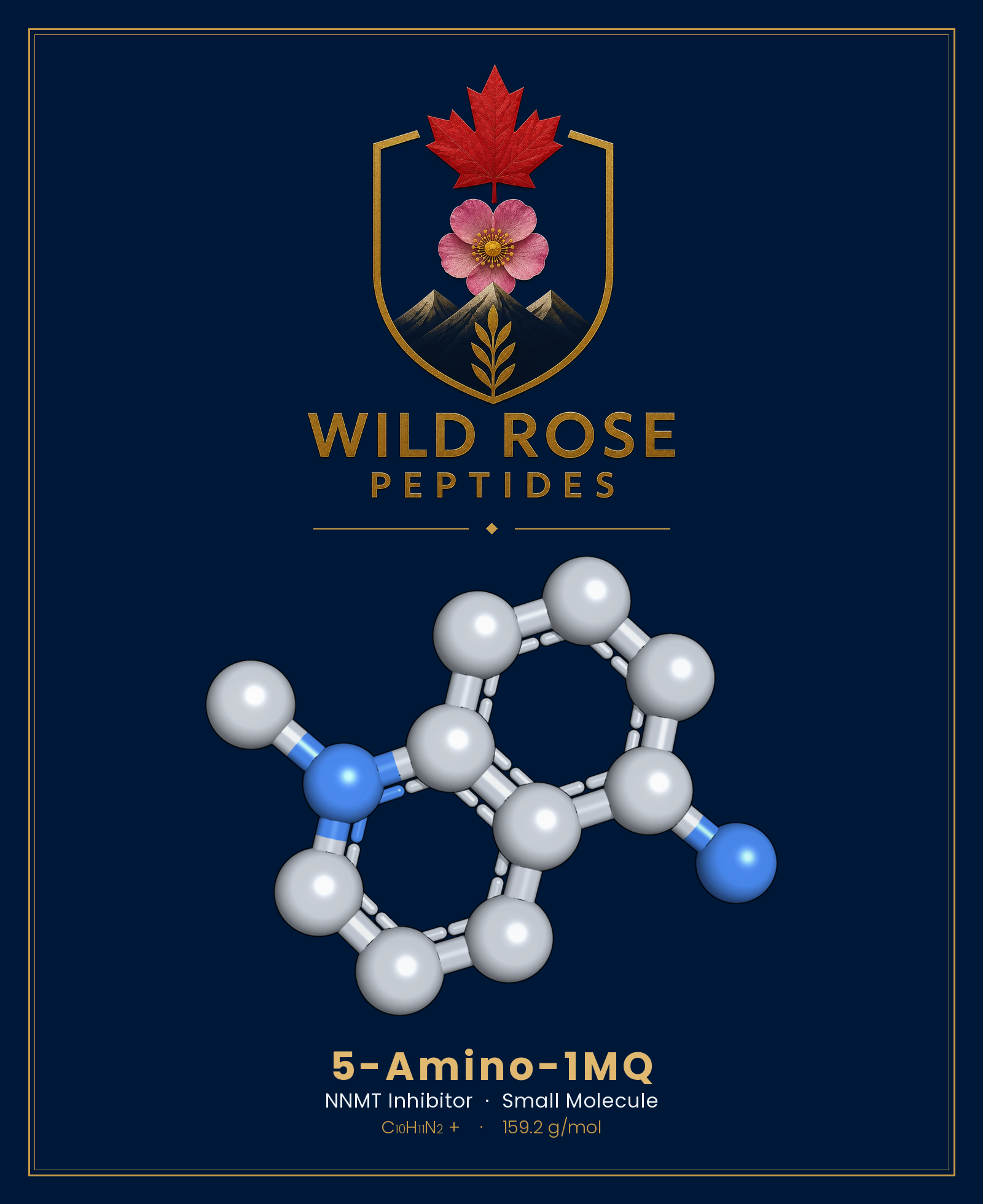 5-Amino-1MQ 3D molecular structure rendering