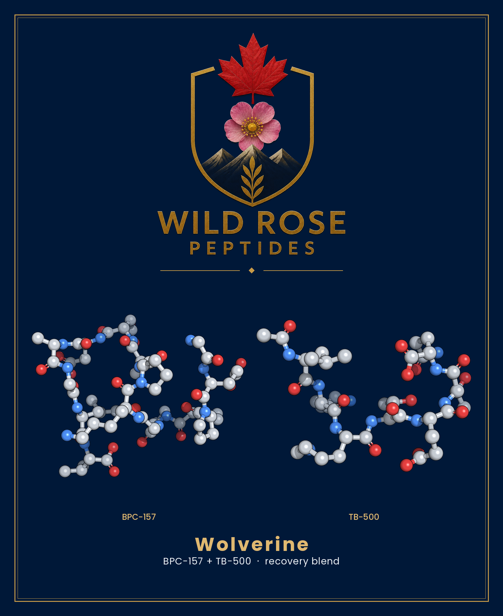Wolverine 3D molecular structure rendering